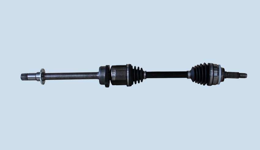Long shank with support and other drive shaft assembly Long shank with support and other drive shaft assembly