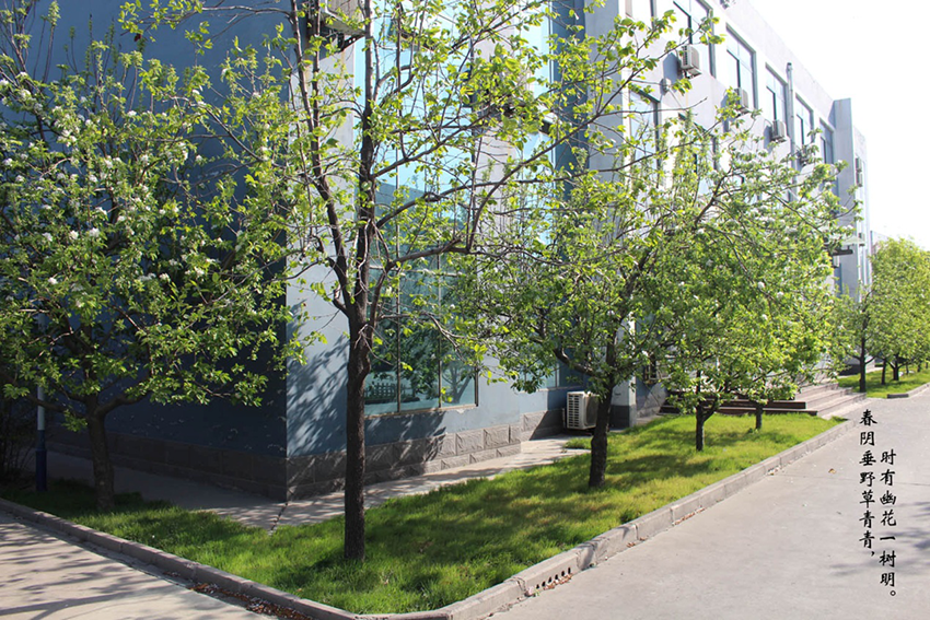XinLan April beauty