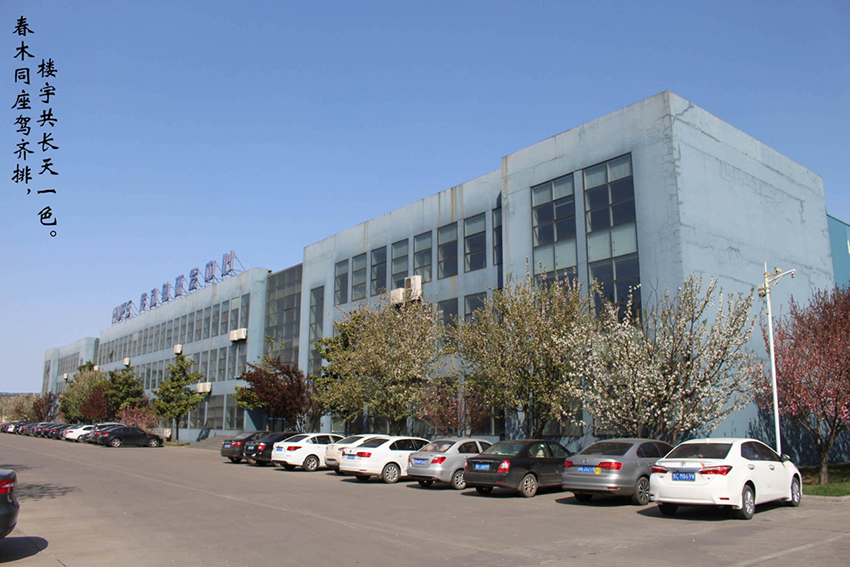 XinLan April beauty