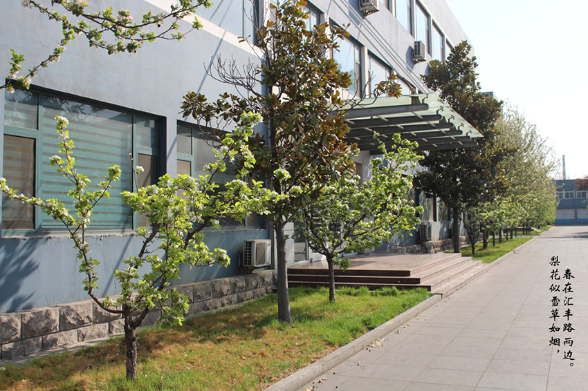XinLan April beauty